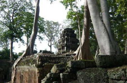 Cambodge - Le temple du Ta Phrom à Angkor