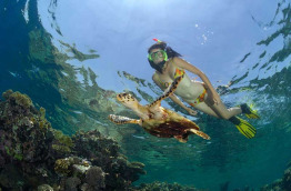 Egypte - Marsa Alam - Red Sea Diving Safari - Marsa Shagra © Borut furlan