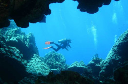 Egypte - Marsa Alam - Red Sea Diving Safari - Marsa Shagra