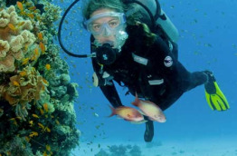 Egypte - Sharm El Sheikh - Emperor Divers © Jane Morgan