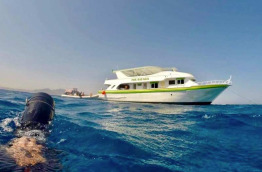 Plongée à Safaga en Egypte avec 3 Turtle Diving Center