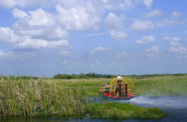 Etats-Unis - Everglades © holbox - Shutterstock