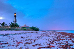 Etats-Unis - Fort Myers © Daniel Korzeniewski - Shutterstock