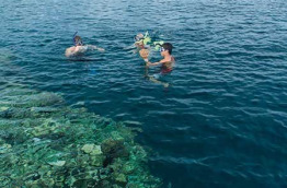 Fidji - Vanua Levu - Jean-Michel Cousteau Resort © James Walshe