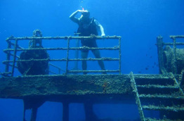 Grèce - Cyclades - Amorgos - Amorgos Diving Center