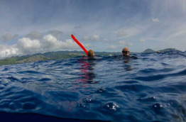 Hawaii - Oahu - Waikiki Diving Center - Greg Lecoeur