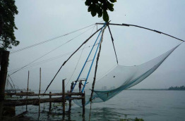Inde - La route de Pondichery - Pêcheur à Cochin