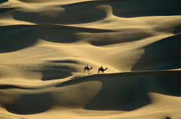 Inde - Le désert du Shekawati © Incredible India