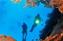 Indonésie - Kalimantan - Nabucco's Nunukan Island - Extra Divers