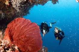 Indonésie - Sulawesi - Wakatobi Dive Center © Mark Snyder