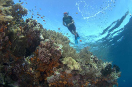 Indonésie - Wakatobi Dive Resort - Snorkeling