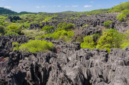 Madagascar - Réserve de l'Ankarana © Pierre Yves Babelon - Shutterstock
