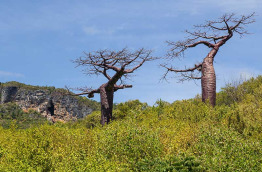 Madagascar - Antsiranana, Diego Suarez © Lukas Dockal - Shutterstock