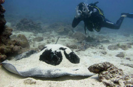 Madagascar - Nosy Iranja - Babala Diving
