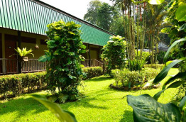 Malaisie - Circuit La rivière Kinabatangan - Le Jardin du Sukau Rainforest Lodge