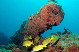 Ile Maurice – Ticabo Diving Centre