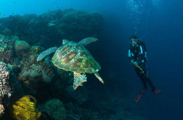 Philippines - Negros- Dumaguete - Atlantis Dive Shop © JC Evans