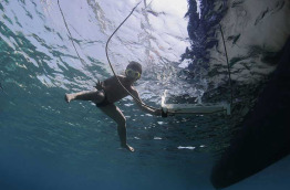 Philippines - Negros- Dauin - Negros Divers Thalatta © Alex Stoyda