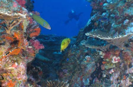 Seychelles - La Digue - Trek Divers