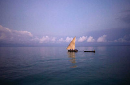 Tanzanie - Pemba Island - Fundu Lagoon