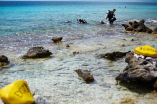 Odyssée Bonaire en liberté - Voyage plongée accompagné ©TC Bonaire