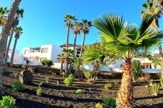 Iles Canaries - Lanzarote - Palmeras Garden