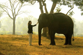 Inde du Sud – Les Chemins détournés du Kartnaka et du Kérala - Camps d'éléphant