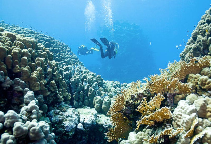 Egypte - Marsa Alam - Extra Divers