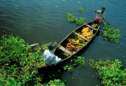 Inde du Sud – Les Chemins détournés du Kartnaka et du Kérala - Le long des backwaters