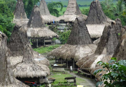 Indonésie - Village traditionnel de Sumba