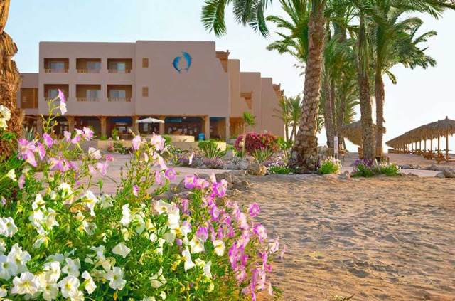 Egypte - Soma Bay - The Breakers Diving & Surfing Lodge