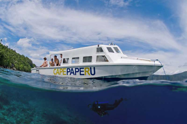 Indonésie - Moluques - Extra Divers Nabucco's Cape Paperu