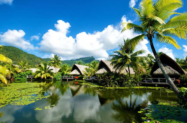 Polynésie - Huahine - Maitai Lapita Village - Premium Lake Bungalow