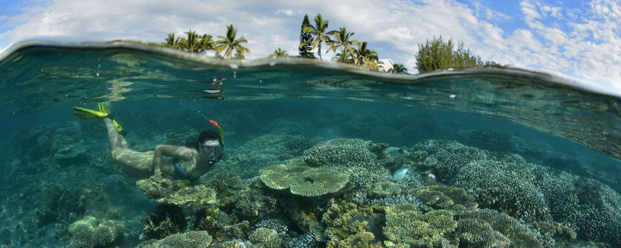 Snorkeling à La Réunion © IRT - Laurent Beche