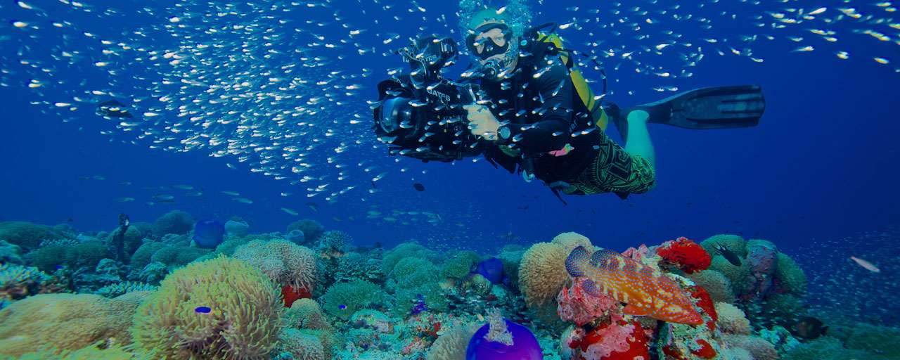 Maldives © Prodivers Kuredu