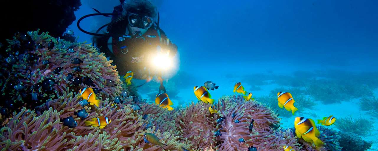 Marsa Alam © Red Sea Diving Safari