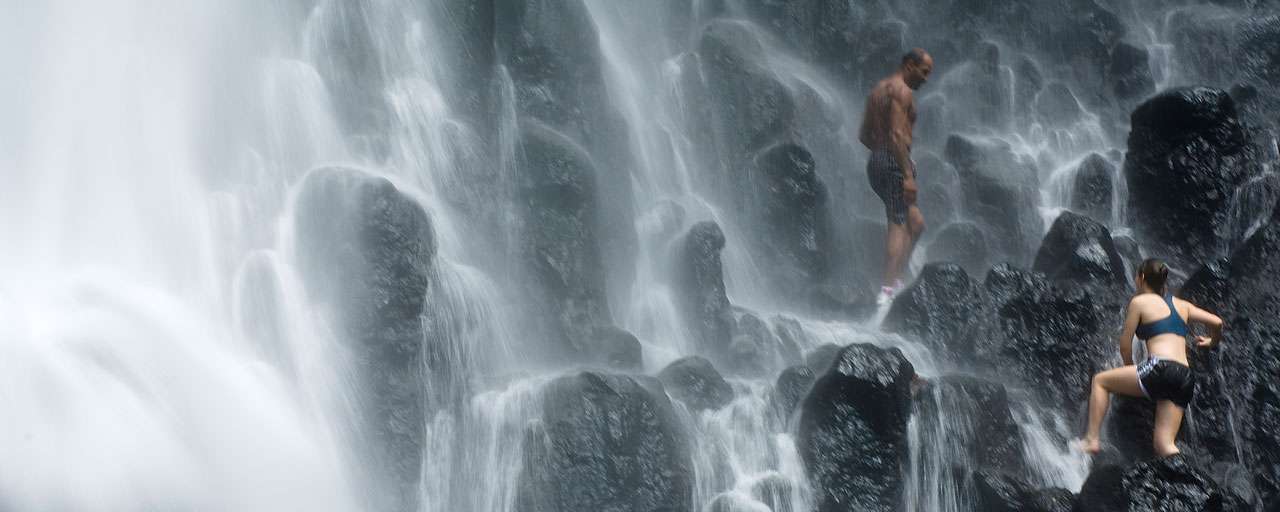 Discover Dominica Authority