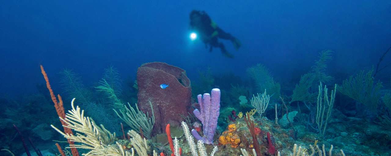 Saba © Carribean Explorer II