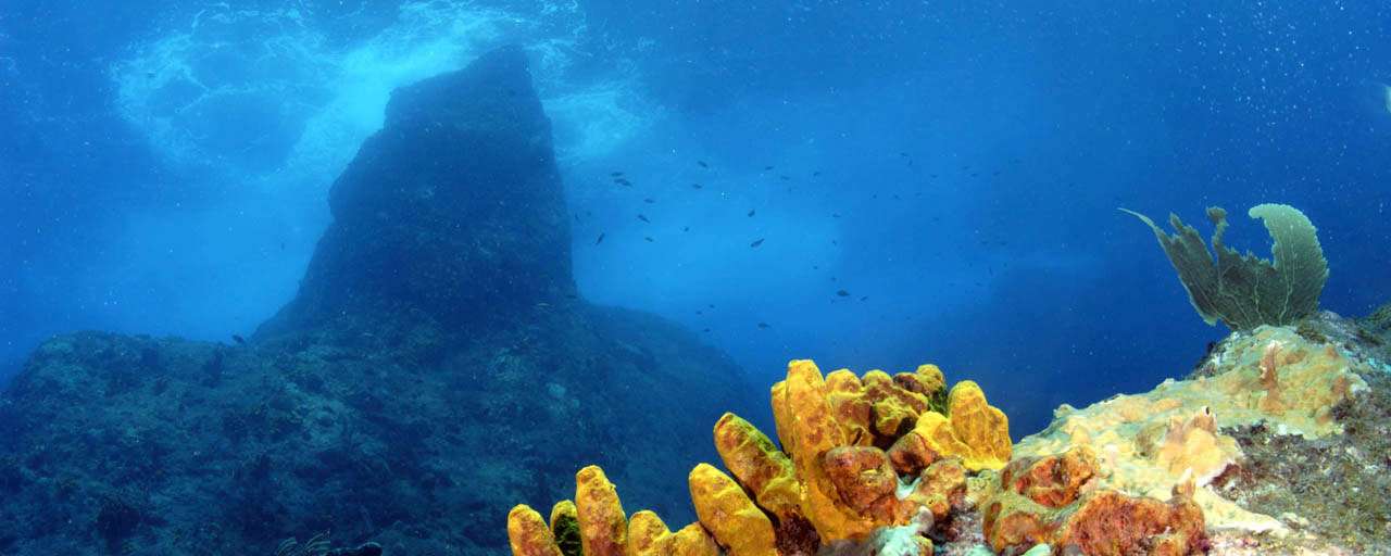 Saba © Carribean Explorer II