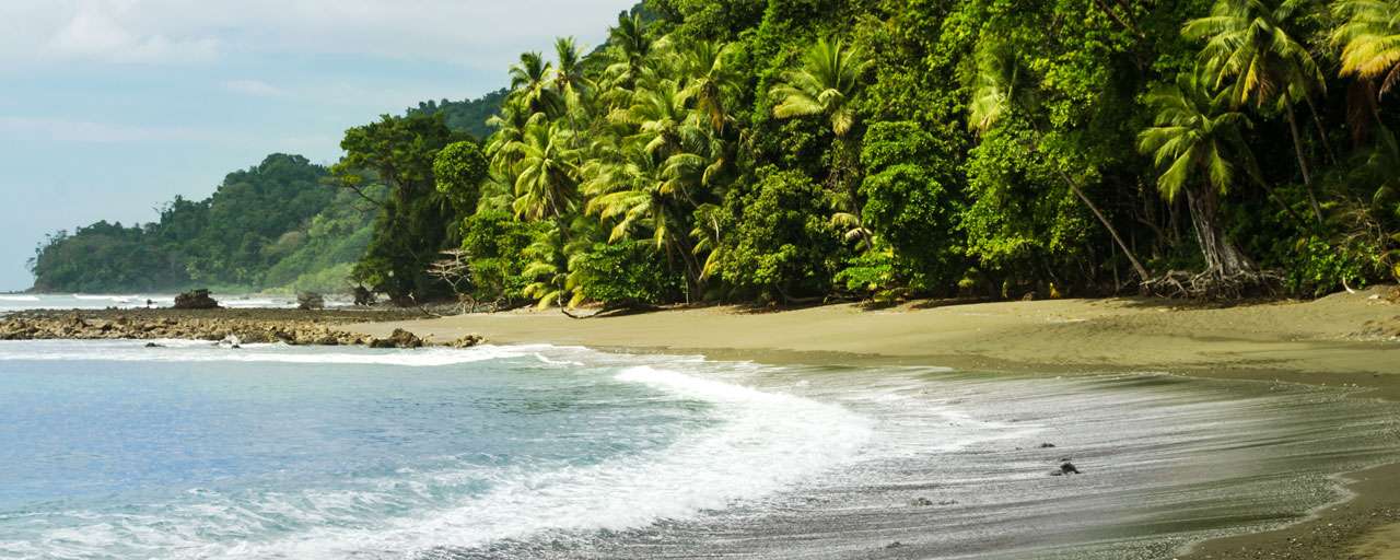 Peninsule de Osa © Shutterstock - Malgorzata Drewniak