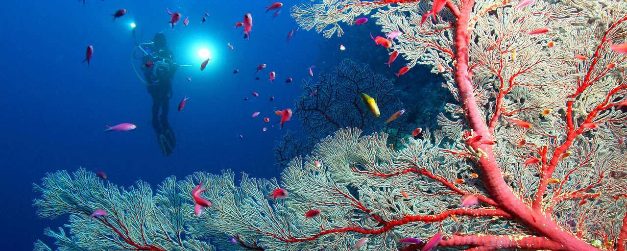 Panglao - Bohol © DOT Philippines