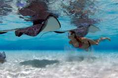 Maldives © Amis des Maldives - Fred Buyle
