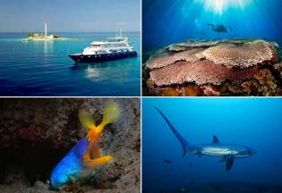 Philippines - Croisière plongée Inifiniti