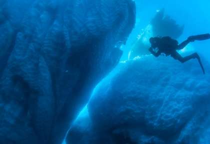 Plongée sous-glace © Erwan Amice