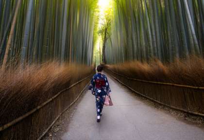 Kyoto - Japon © Patrick Foto - Shutterstock
