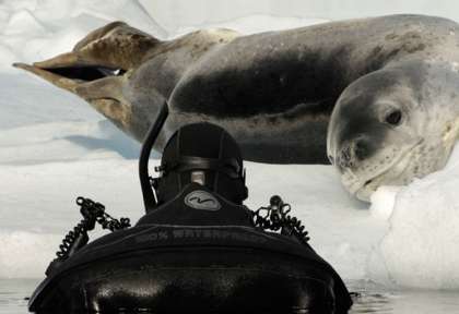Antarctique © Waterproof Expeditions - Goran Ehlme