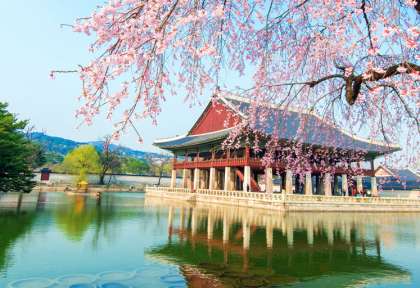Palais de Gyeongbokgung © Shutterstock - Guitar Photographer