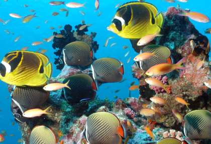 Phuket © Shutterstock - Banana Republic Images