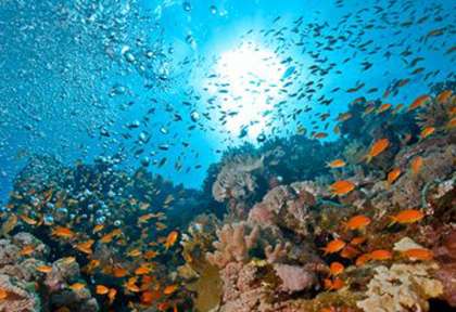 Sharm El Sheikh © Subex