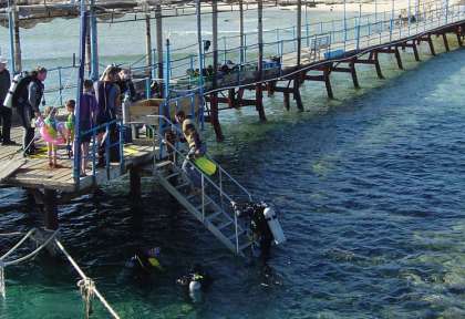 Mangrove Bay © Ducks diving